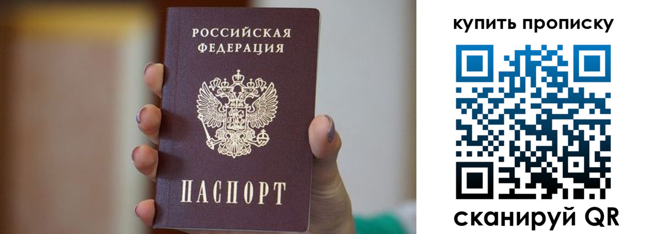 найти адрес прописки в Шебекино